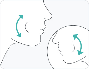 ジェノプラン - Genoplan