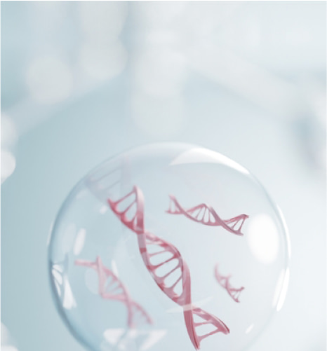 ジェノプラン - Genoplan